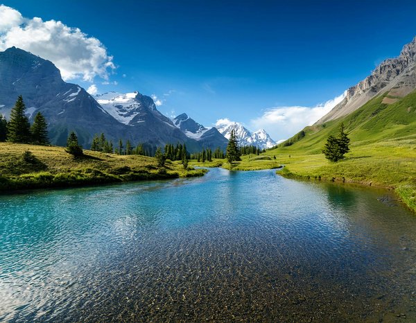 Comment organiser une visite des plantations de thé au Sri Lanka?